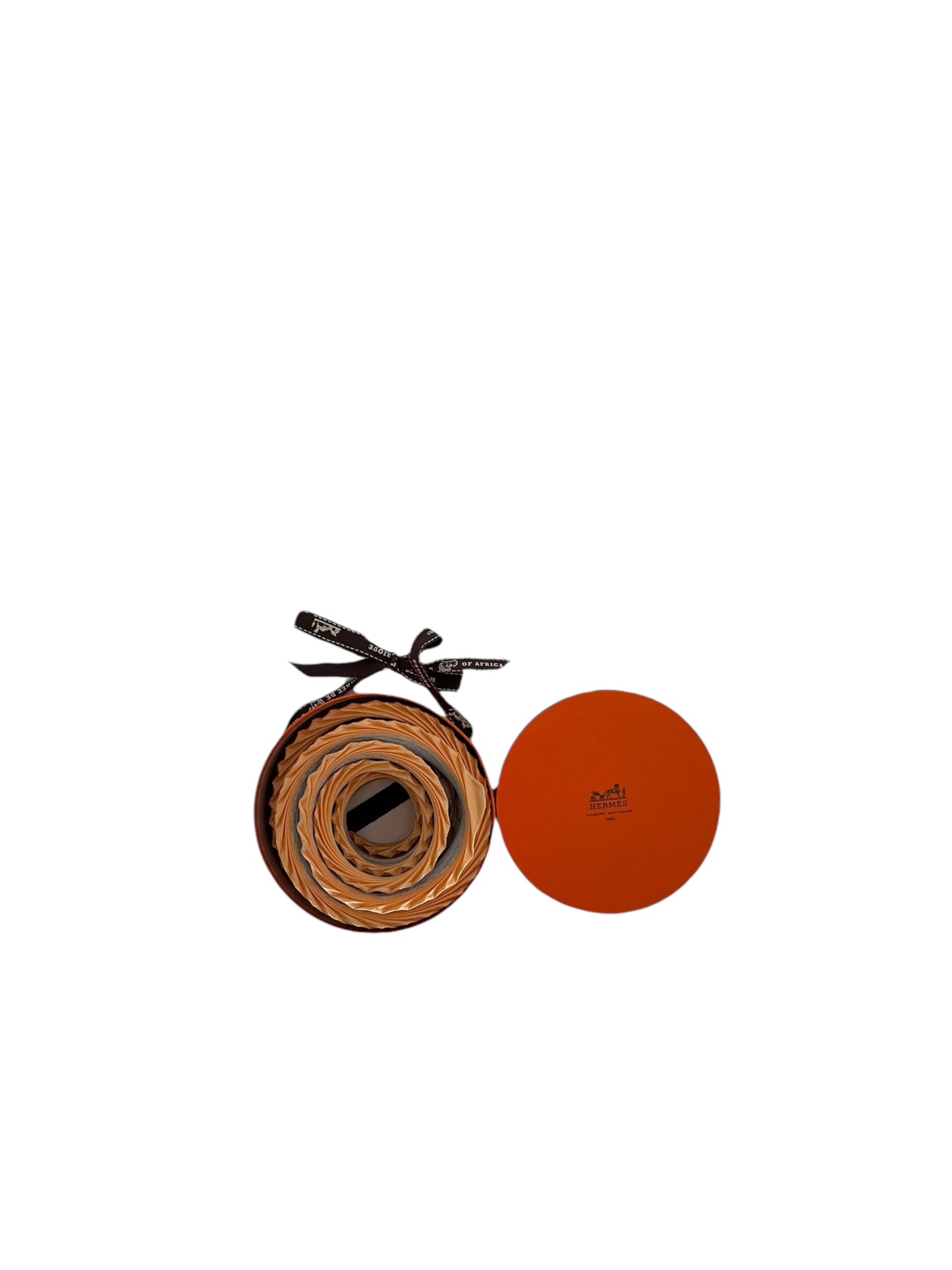 Hermes "Chaque Rencontre Est Unique" Plisse Silk Scarf By Haijne Katagiri