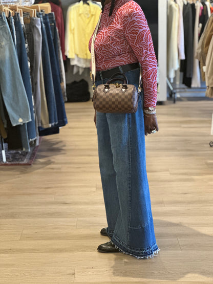 Louis Vuitton Mini Speedy Damier Ebene Bandouliere 20